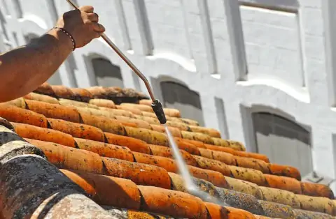 Démoussage de toiture à Salles sur Mer